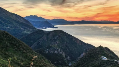 le Parc National de Taza en Algérie - Boonyan Info