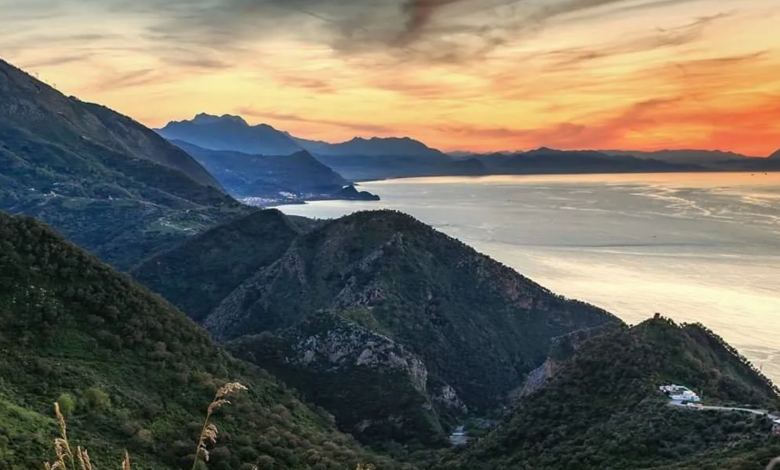 le Parc National de Taza en Algérie - Boonyan Info