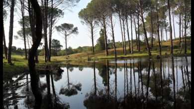 Le parc national d’EL KALA - Boonyan Info