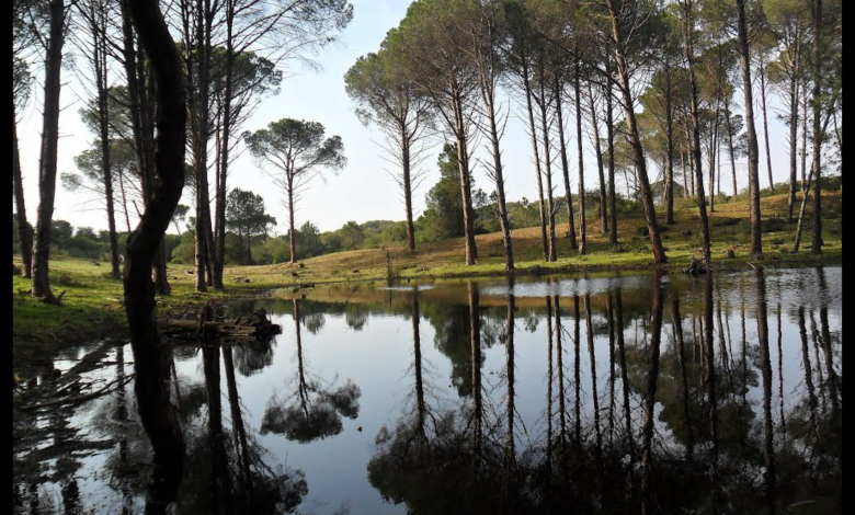 Le parc national d’EL KALA - Boonyan Info