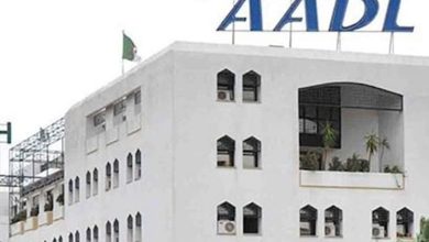 AADL: distribution de plus de 80% du programme de logement réalisé., BOONYAN Info, première plateforme d'articles sur le Bâtiment et l'immobilier