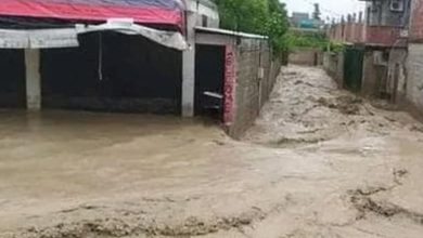 Les pluies diluviennes et l’étude de sol en Algérie. Boonyan Info