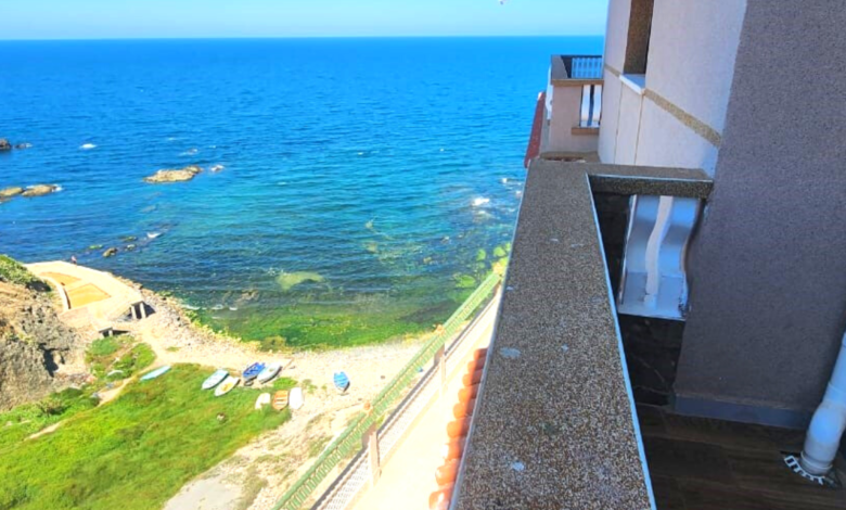 Airbnb en Algérie - Boonyan Info