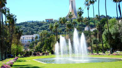 Le Jardin d'Essai d'Alger - Boonyan Info