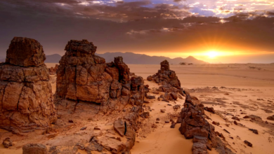 le tassili (Algérie) - Boonyan Info