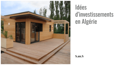 Idées d’investissements en Algérie - Boonyan Info