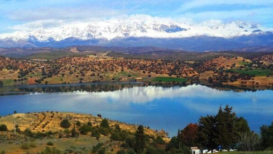 Voici le taux de remplissage des barrages en Algérie après les dernières pluies - Boonyan Info