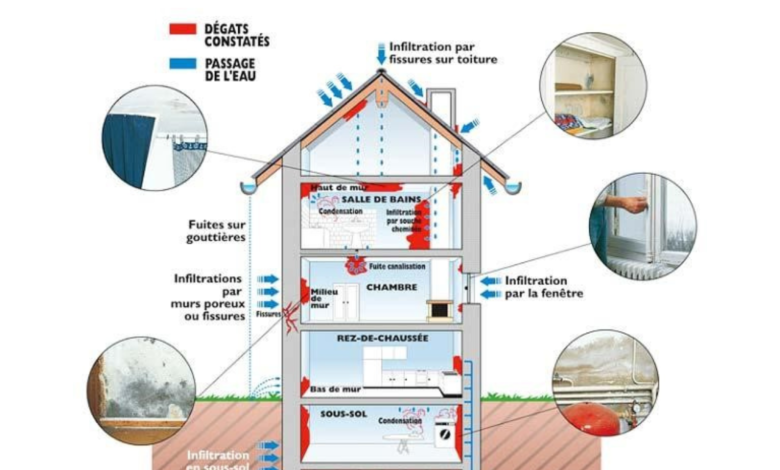 Les dégâts de l’humidité … quels sont les points à vérifier dans votre maison ? - Boonyan Info