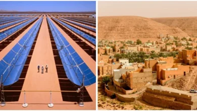 panneau solaire à tamadjert