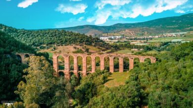 Aqueduc de Cherchell
