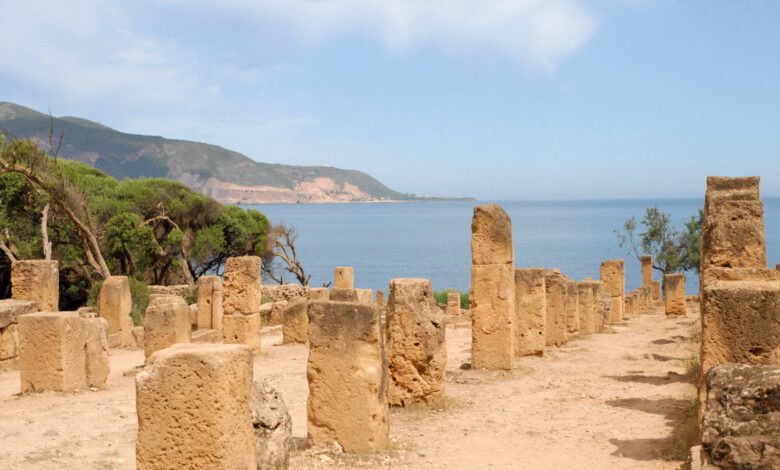 le cardo maximus de la ville romaine Tipaza