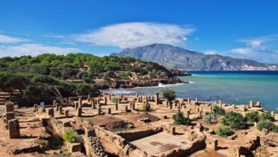 Les ruines romaines à Tipaza