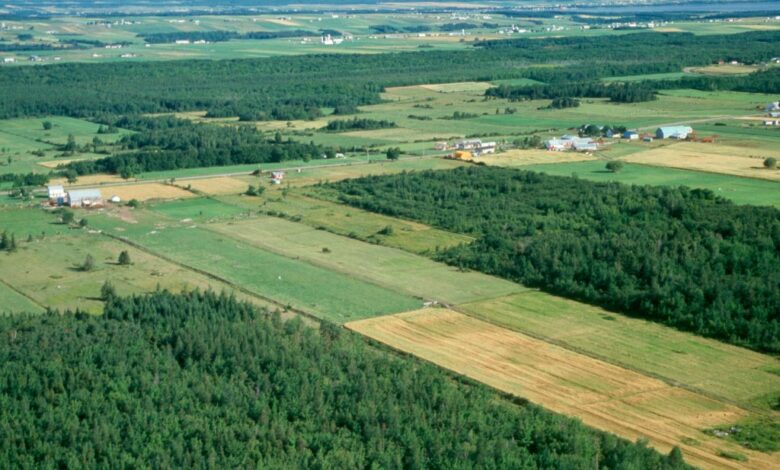 terre agricole Algérie