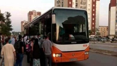 transport public à Blida