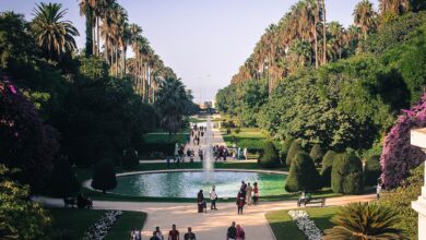 le jardin d'essai