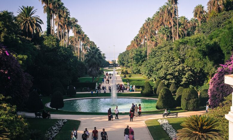 le jardin d'essai