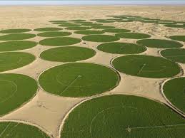 agriculture algérie