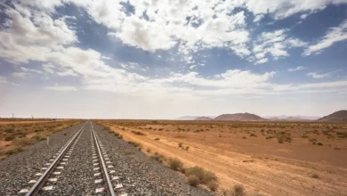 Voie férrée en Algérie