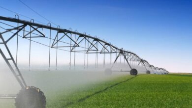 Pivot irrigation Algérie