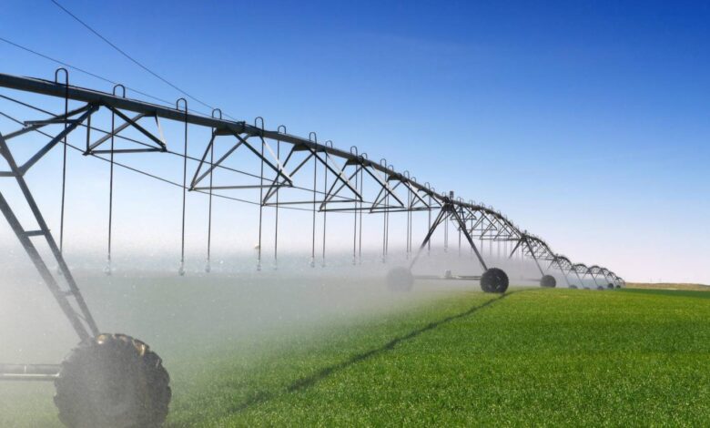 Pivot irrigation Algérie