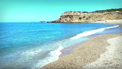 Plage Alger